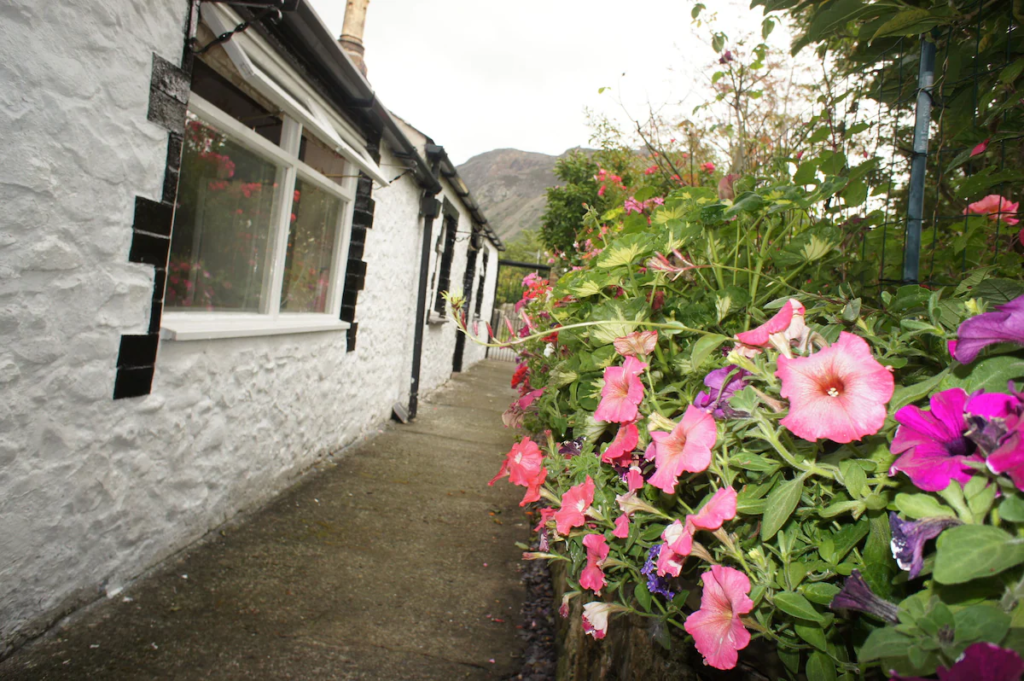 A narrow stone path runs beside a white cottage with large windows, bordered by vibrant pink and purple flowers, and lush greenery. A hillside rises in the background under a cloudy sky.
