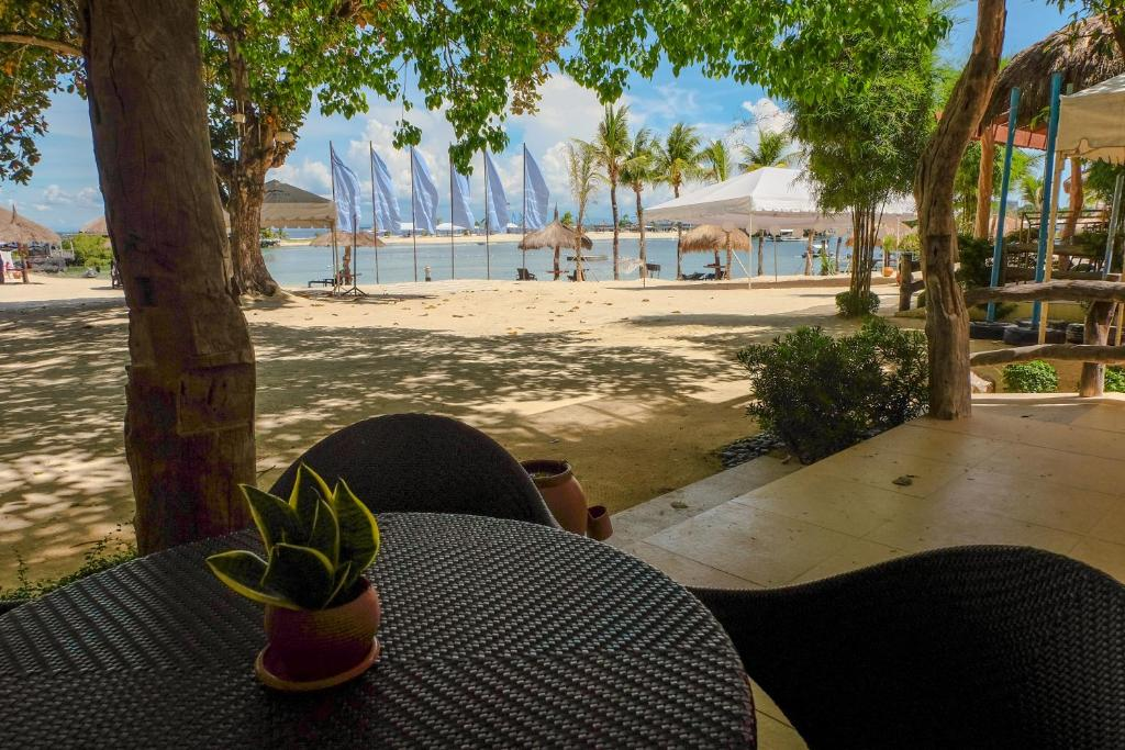 Outdoor seating area with round black tables and potted plants, shaded by trees, overlooking a sandy beach with palm trees, white sun umbrellas, and the ocean in the background on a sunny day.